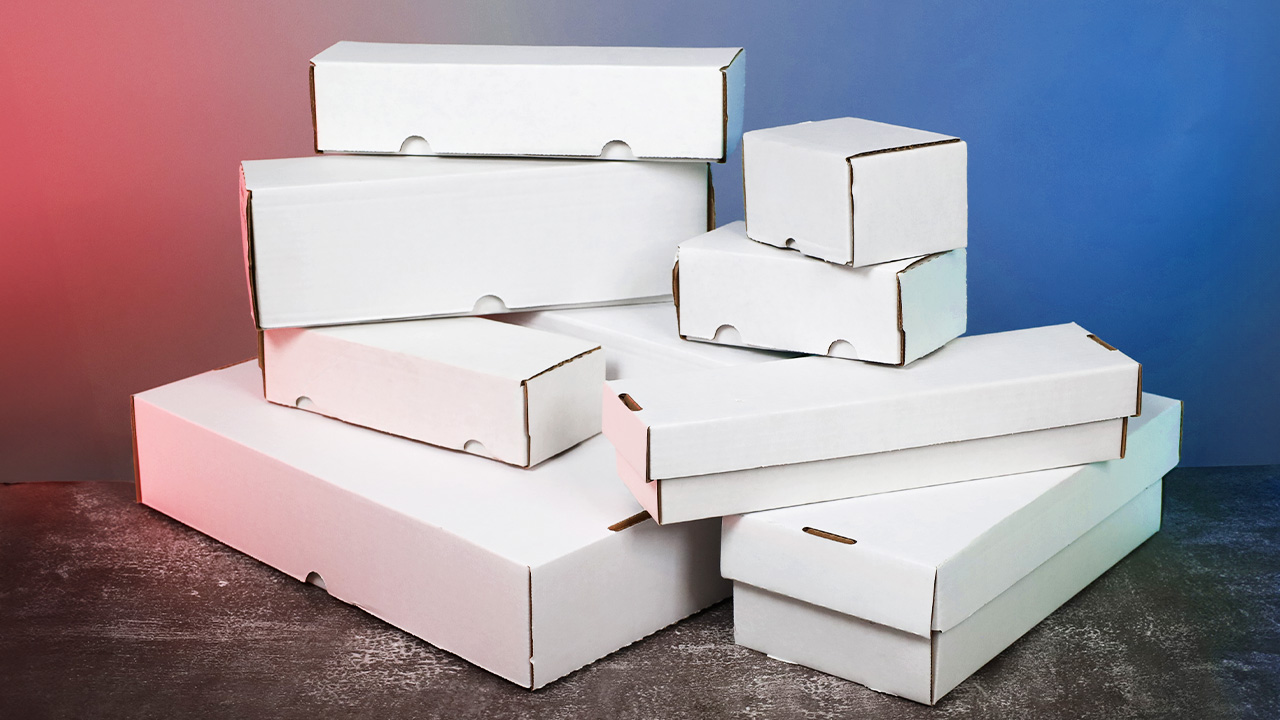 Which BCW Cardboard Boxes are Large Enough for Card Holders or Graded Cards?