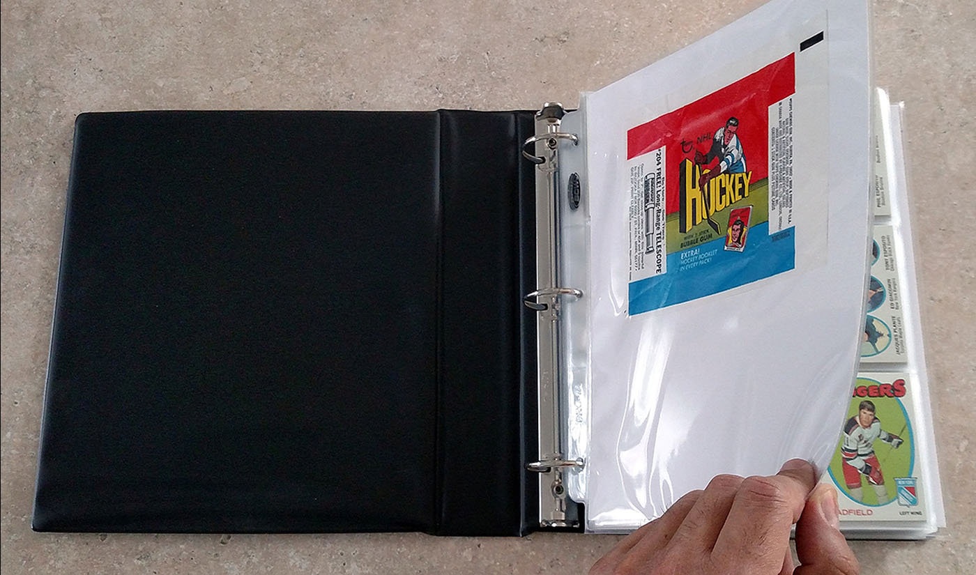 Binder with protective pages