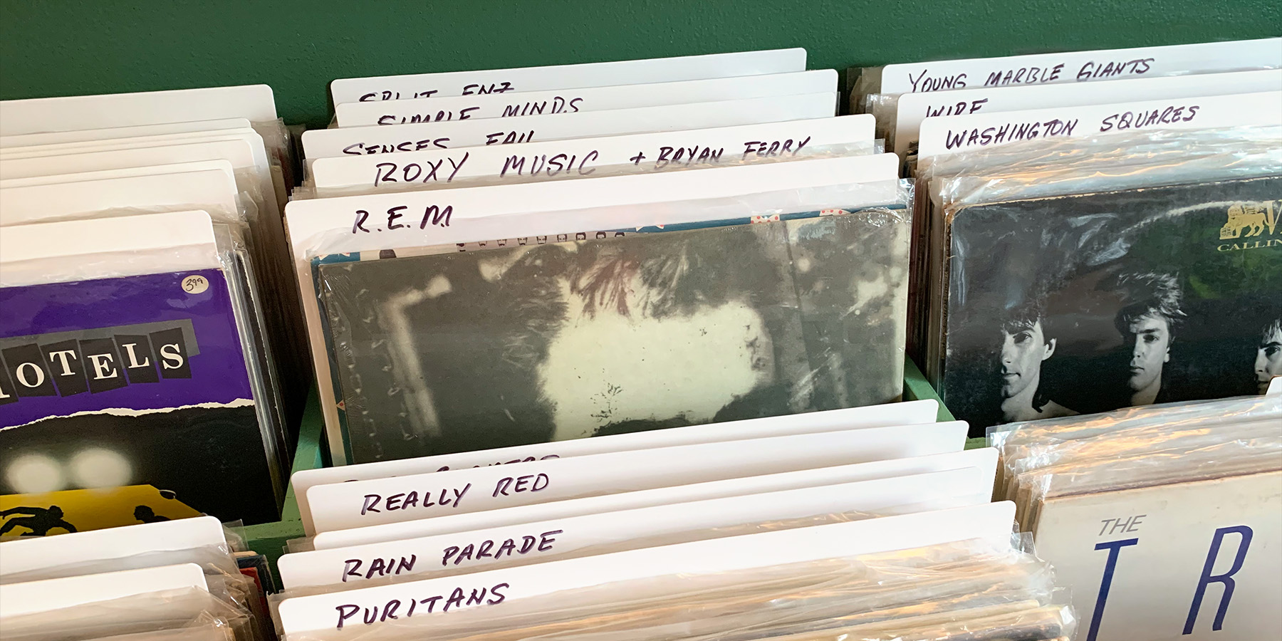 Organize Your Music Collection with Record and CD Dividers BCW