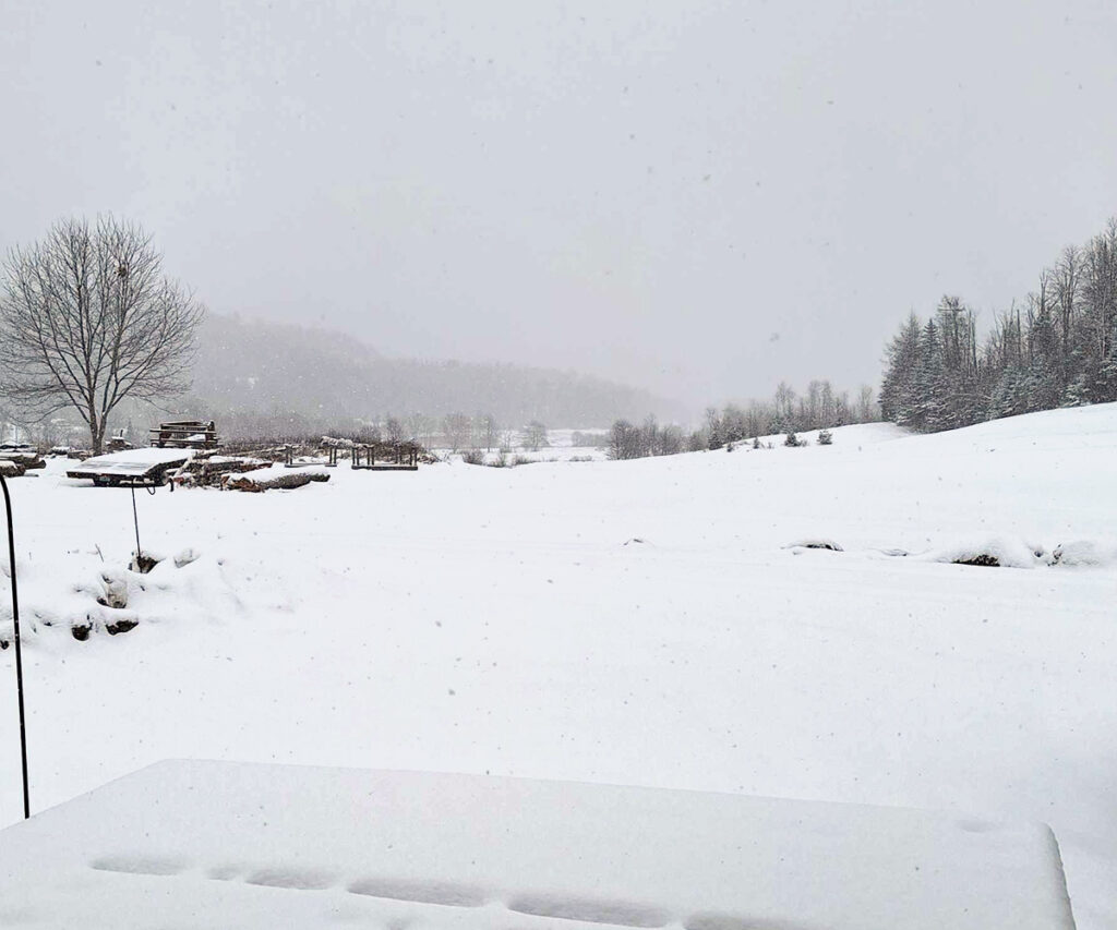 2024 Winter in Vermont