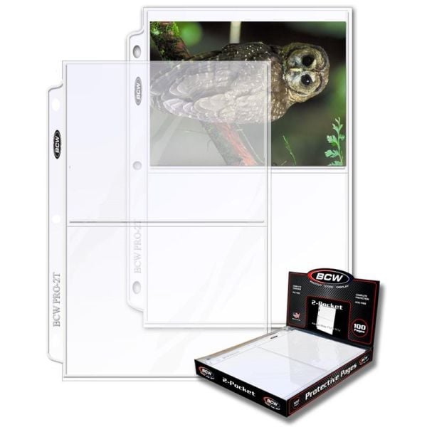 Pro 2-Pocket Photo Page (100 CT. Box)