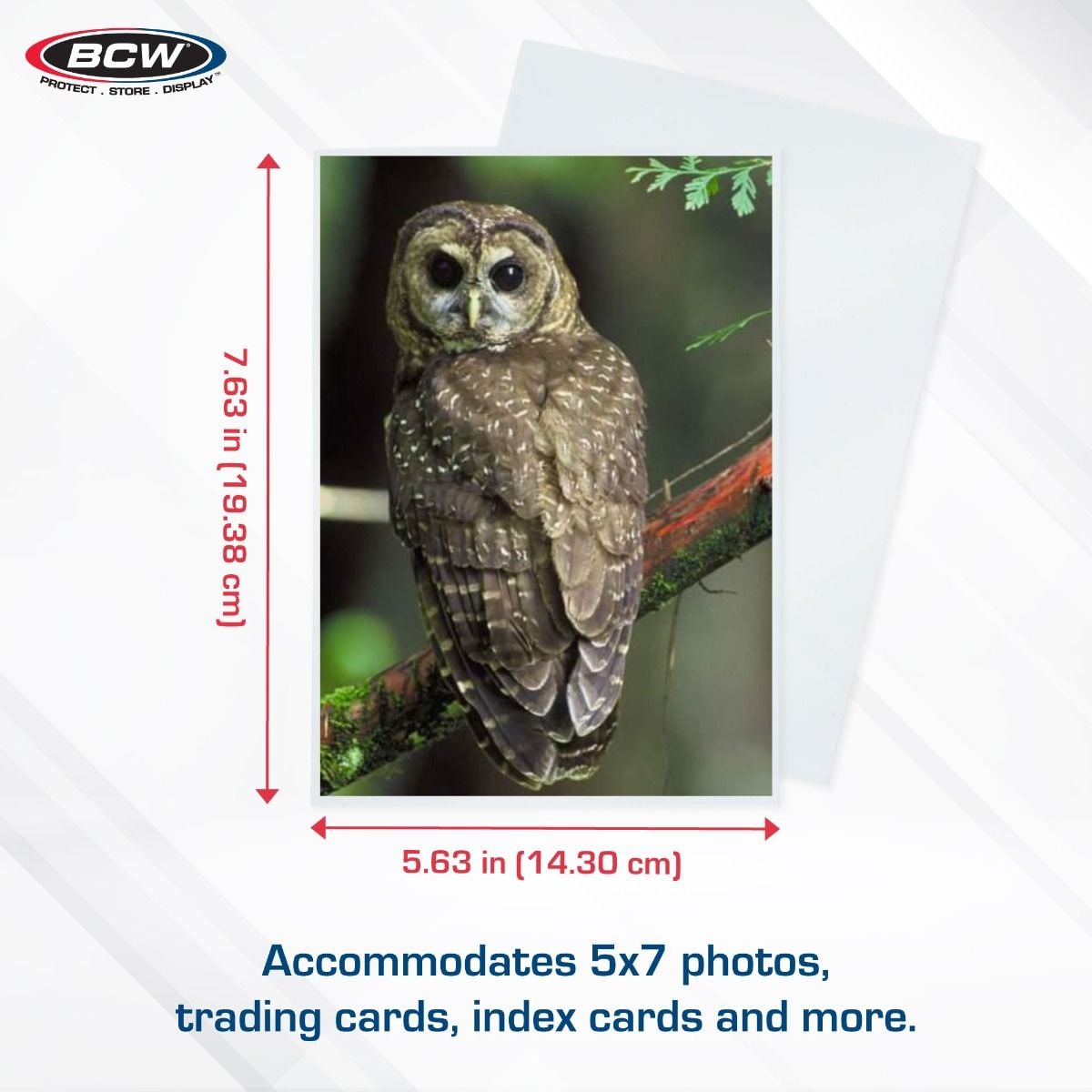 Acid-free Top Loader Sleeves 25 Pack BCW 5" X 7" Soft Photo Sleeves - For  Oversized Cards, Postcards & Photos BCW Sports Trading Card Storage &  Display Supplies