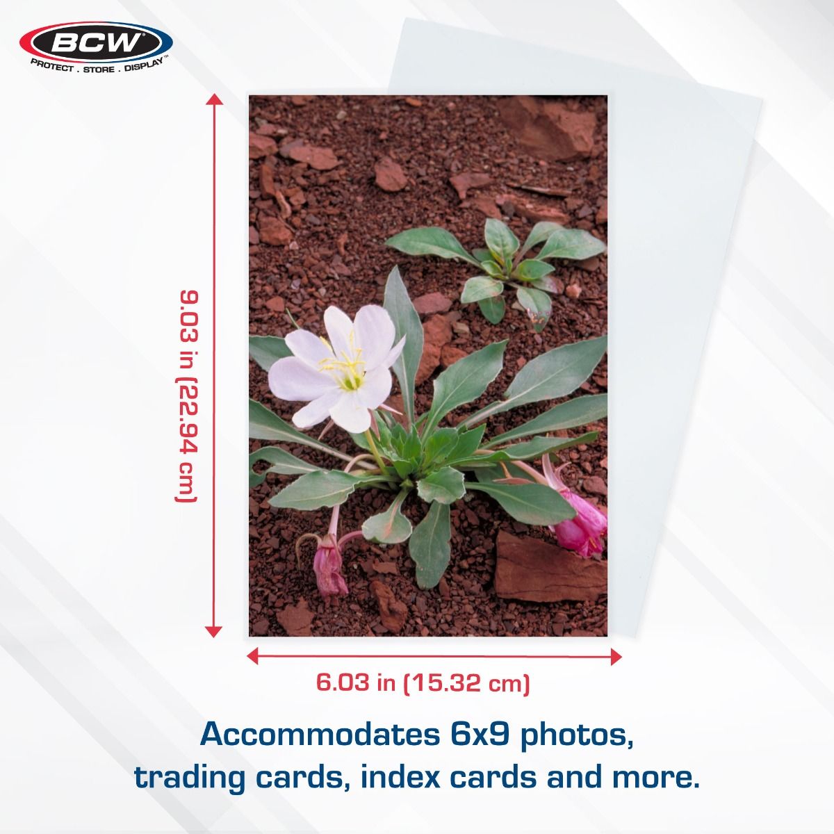 BCW 6x9 Photograph Sleeves (100 Pack) - 2 Mil Polypropylene For Photos, Postcards & Art Prints