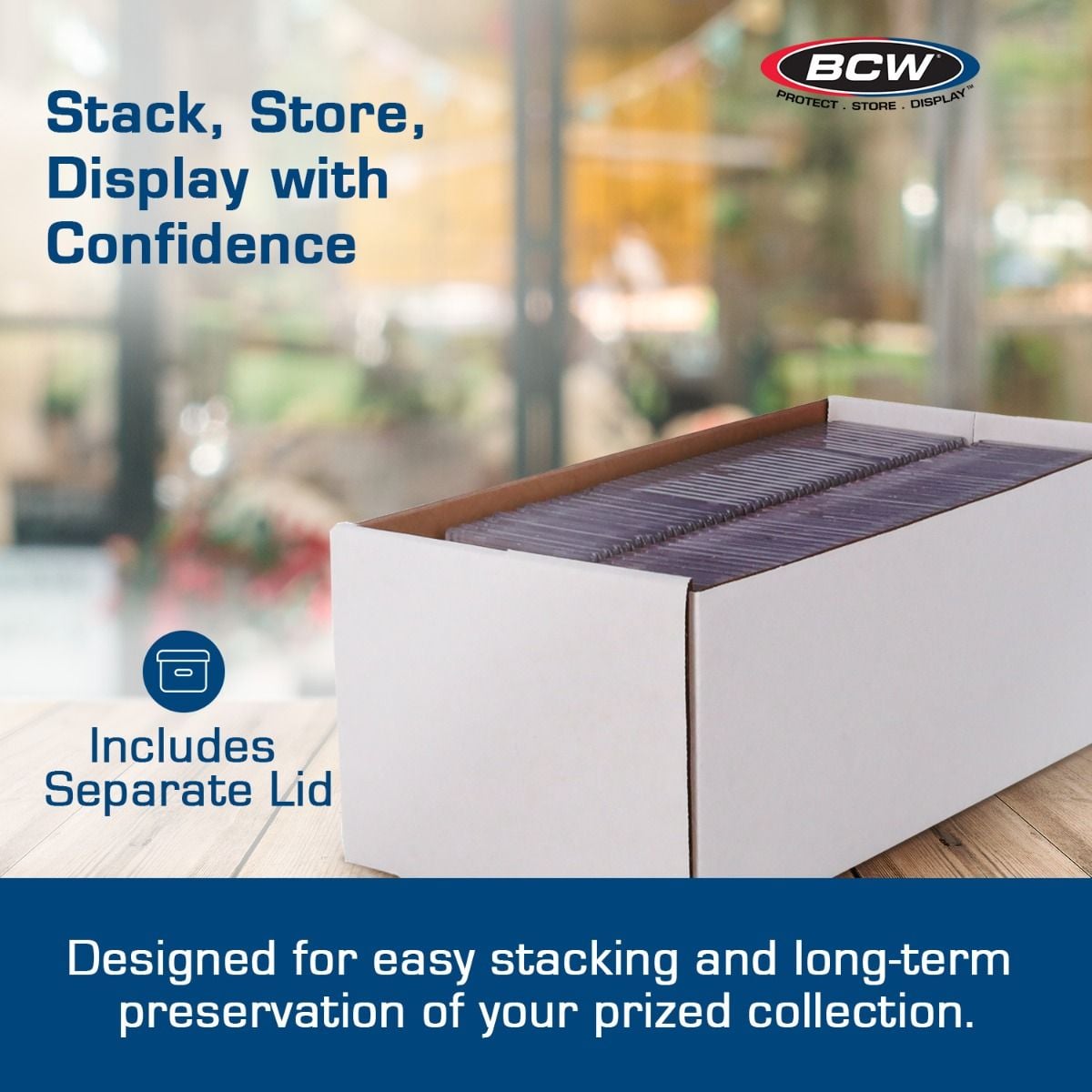 BCW Graded Shoe Box Storage