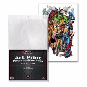 12x18 Photo Print Bags **LIMITED STOCK**
