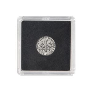 2x2 Coin Snap - Dime