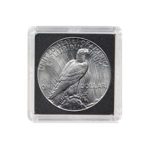 2x2 Coin Snap - Dollar