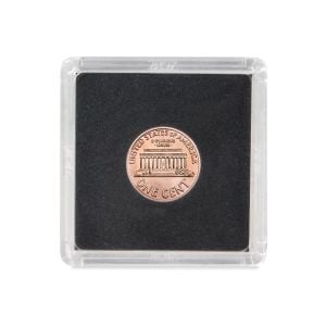 2x2 Coin Snap - Penny