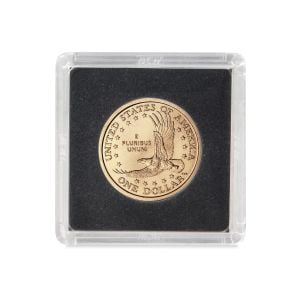 2x2 Coin Snap - Small Dollar