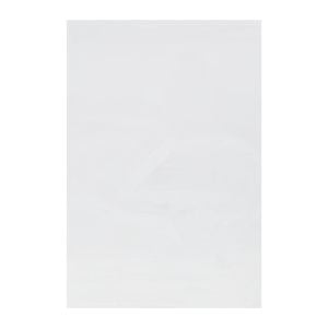 Clear BCW Newspaper Sleeve shown flat without packaging.