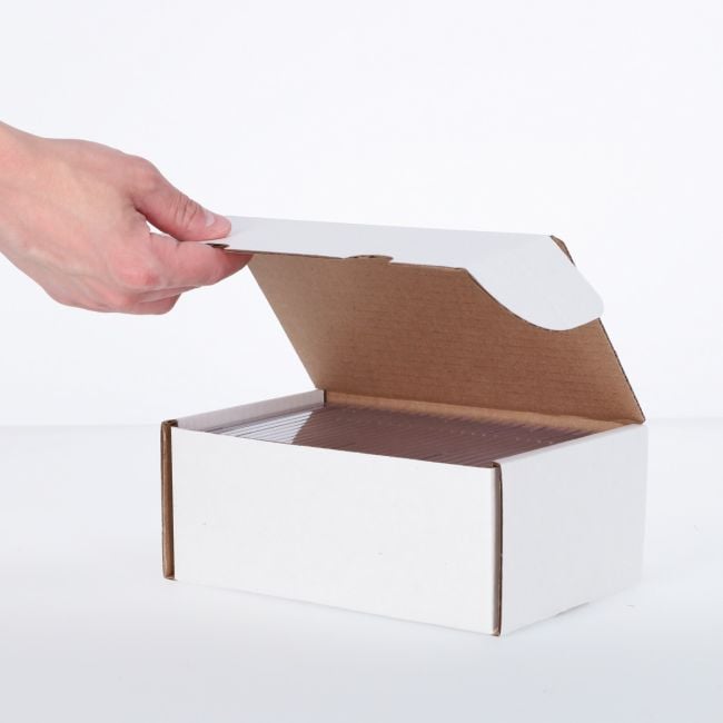 BCW - Graded Trading Card Box