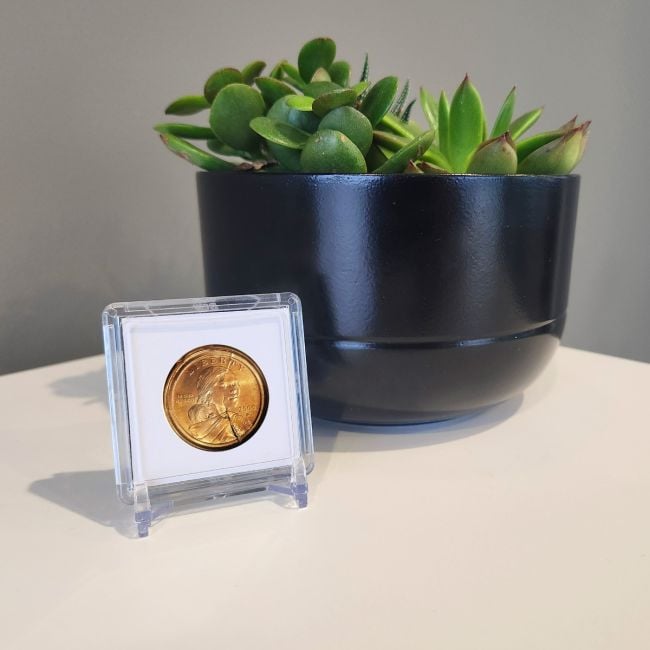 2x2 Coin Snap - Small Dollar - Black