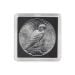 2x2 Coin Snap - Dollar
