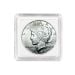 2x2 Coin Snap - Dollar