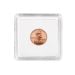 2x2 Coin Snap - Penny