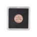 2x2 Coin Snap - Penny