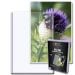 8x12 - Topload Holder  **LIMITED STOCK**
