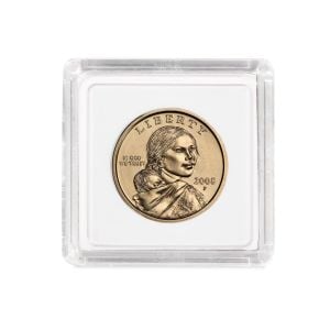 2x2 Coin Snap - Small Dollar